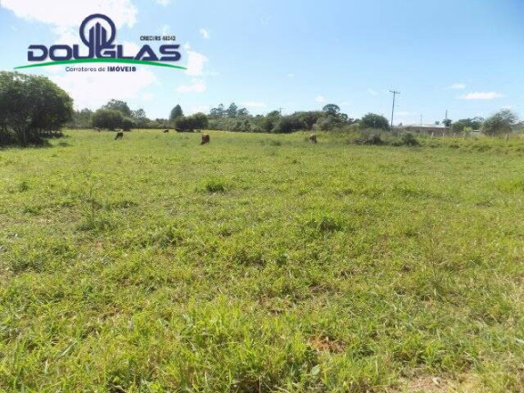 Imagem Terreno à Venda, 1.100 m² em águas Claras - Viamão Imagem Terreno à Venda, 1.100 m² em águas Claras - Viamão