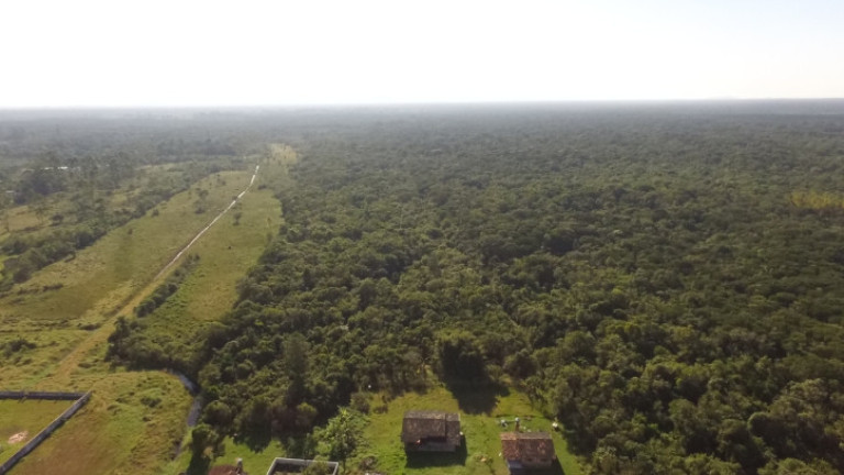 Imagem Terreno à Venda, 110.507 m² em Corveta - Araquari