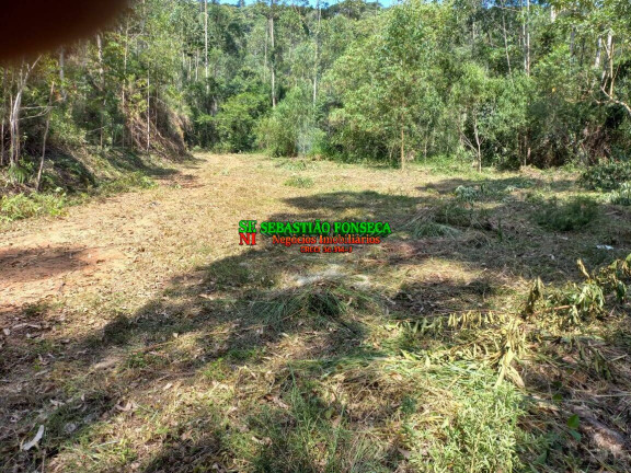 Imagem Chácara à Venda, 30.000 m² em Centro - Monteiro Lobato Imagem Chácara à Venda, 30.000 m² em Centro - Monteiro Lobato