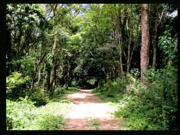Imagem Fazenda à Venda, 940 m² em Dos Silva - Morungaba