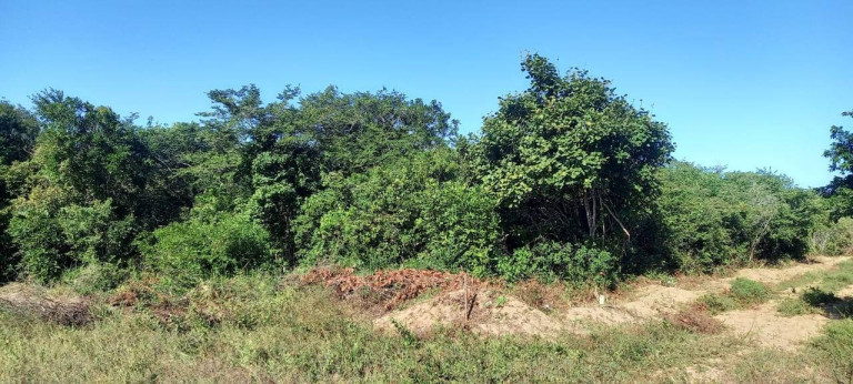Imagem Terreno à Venda, em Sibauma - Tibau Do Sul Imagem Terreno à Venda, em Sibauma - Tibau Do Sul