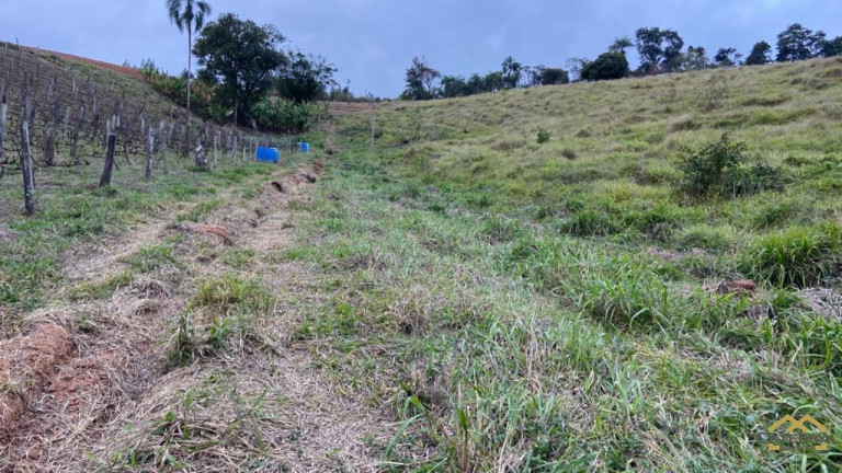 Imagem Terreno à Venda, 27.000 m² em Campo Largo - Jarinu Imagem Terreno à Venda, 27.000 m² em Campo Largo - Jarinu