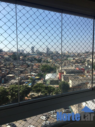Imagem Apartamento com 3 Quartos à Venda, 65 m² em Vila Nova Cachoeirinha - São Paulo
