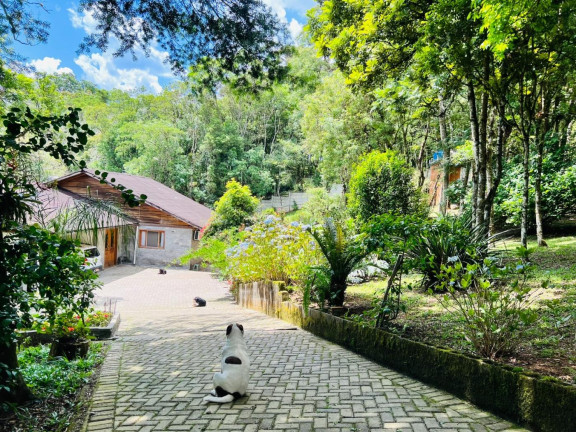 Imagem Imóvel à Venda, 5.050 m² em Capão Grosso - São José Dos Pinhais Imagem Imóvel à Venda, 5.050 m² em Capão Grosso - São José Dos Pinhais