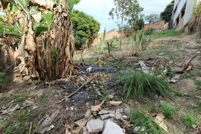 Imagem Terreno à Venda, 374 m² em Palmares - 1ª Seção (parque Durval De Barros) - Ibirité