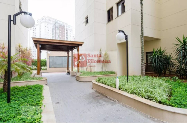 Imagem Apartamento com 3 Quartos à Venda, 65 m² em Baeta Neves - São Bernardo Do Campo Imagem Apartamento com 3 Quartos à Venda, 65 m² em Baeta Neves - São Bernardo Do Campo