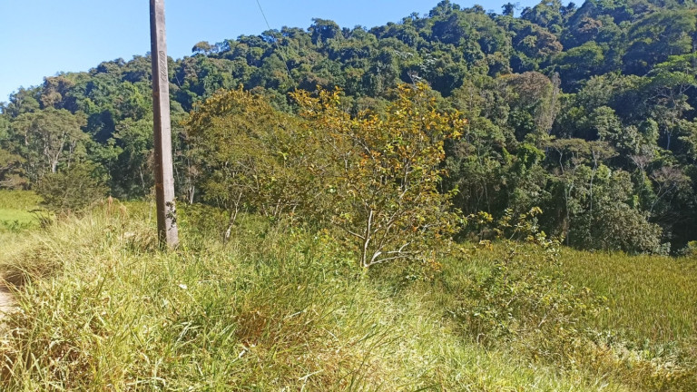 Imagem Chácara com 1 Quarto à Venda, 200 m² em Mirandão - Paraibuna Imagem Chácara com 1 Quarto à Venda, 200 m² em Mirandão - Paraibuna