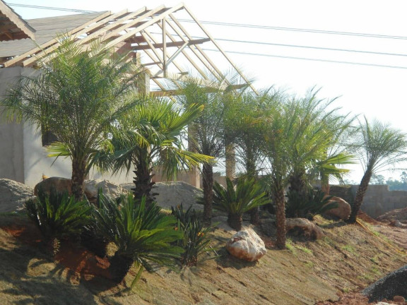 Imagem Casa de Condomínio com 2 Quartos à Venda, 100 m² em Vitória Régia - Atibaia Imagem Casa de Condomínio com 2 Quartos à Venda, 100 m² em Vitória Régia - Atibaia