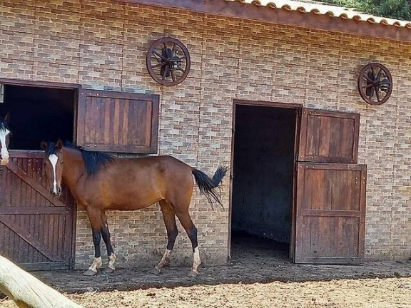 Imagem Chácara com 4 Quartos à Venda, 5.664 m² em Portal São Marcelo - Bragança Paulista Imagem Chácara com 4 Quartos à Venda, 5.664 m² em Portal São Marcelo - Bragança Paulista