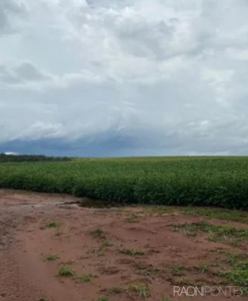 Imagem Fazenda à Venda, 2.032.800 m² em Zona Rural - Guaraci