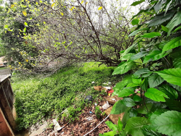 Imagem Chácara com 1 Quarto à Venda, 90 m² em Mata Fria - Mairiporã Imagem Chácara com 1 Quarto à Venda, 90 m² em Mata Fria - Mairiporã