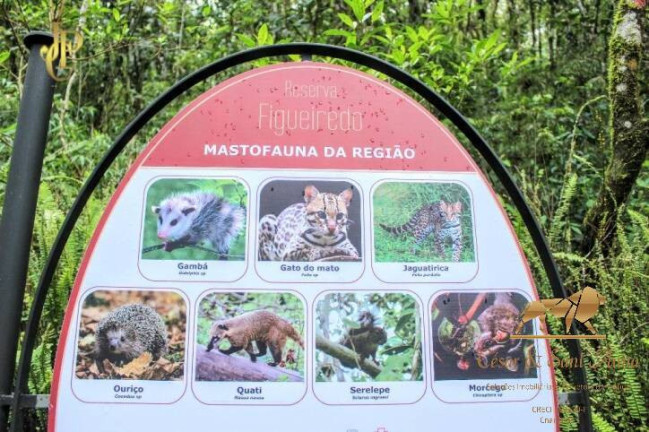 Imagem Terreno à Venda, 1.000 m² em Alto Do Capivari - Campos Do Jordão Imagem Terreno à Venda, 1.000 m² em Alto Do Capivari - Campos Do Jordão