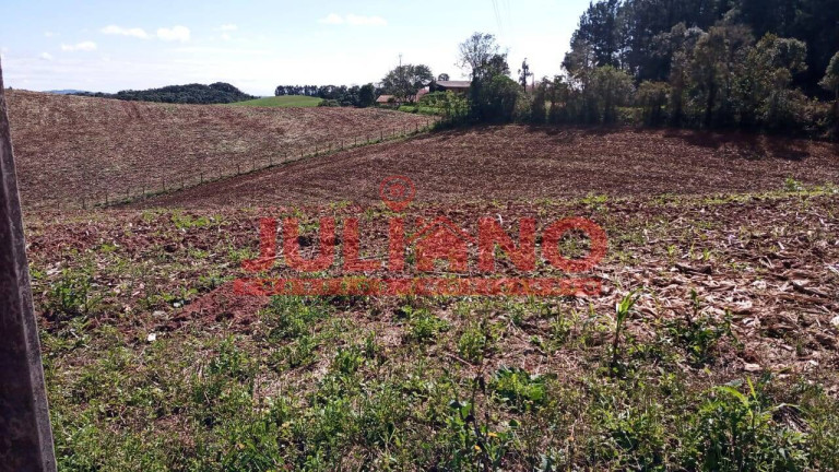 Imagem Terreno à Venda, 32.032 m² em Mato Preto - São Bento Do Sul Imagem Terreno à Venda, 32.032 m² em Mato Preto - São Bento Do Sul