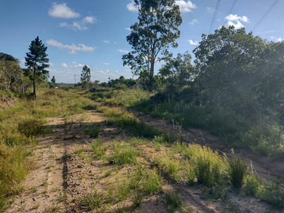 Imagem Terreno à Venda, 20.000 m² em Alto Perequê - Arroio Do Padre Imagem Terreno à Venda, 20.000 m² em Alto Perequê - Arroio Do Padre