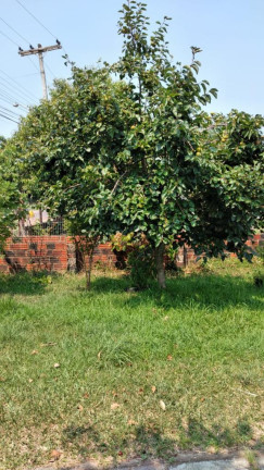 Imagem Casa com 2 Quartos à Venda,  em Estrada Rs-030 - Osorio