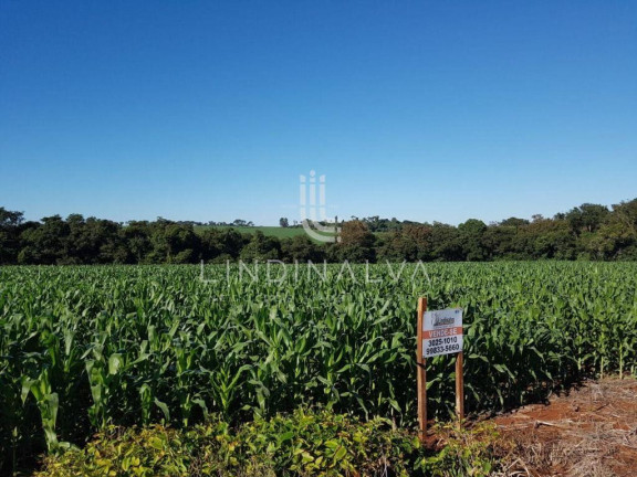 Imagem Fazenda à Venda, 10.649 m² em Cognópolis - Foz Do Iguacu