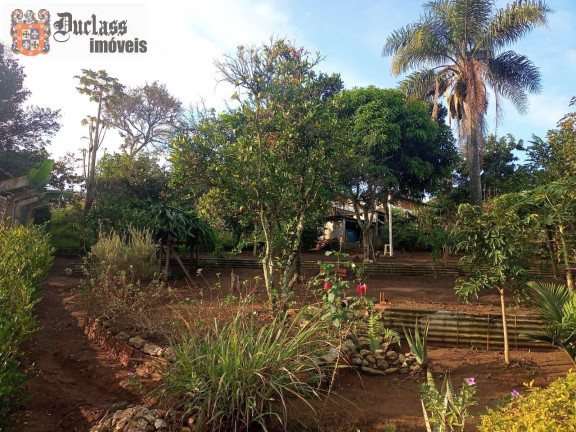 Imagem Chácara com 2 Quartos à Venda, 1.000 m² em Bairro Do Pinhal - Pinhalzinho Imagem Chácara com 2 Quartos à Venda, 1.000 m² em Bairro Do Pinhal - Pinhalzinho