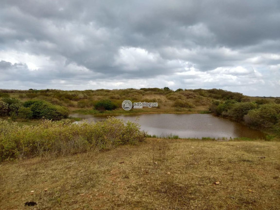 Imagem Fazenda à Venda, 300.000 m² em Lagoa Do Mato - Monte Alegre Imagem Fazenda à Venda, 300.000 m² em Lagoa Do Mato - Monte Alegre