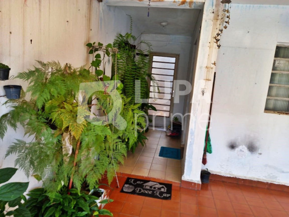 Imagem Casa com 3 Quartos à Venda, 120 m² em Vila Constança - São Paulo Imagem Casa com 3 Quartos à Venda, 120 m² em Vila Constança - São Paulo