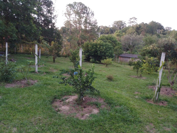Imagem Chácara com 3 Quartos à Venda, 24 m² em Aparecida - Araçoiaba Da Serra Imagem Chácara com 3 Quartos à Venda, 24 m² em Aparecida - Araçoiaba Da Serra