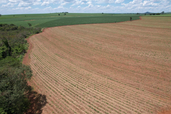 Imagem Chácara à Venda, 13 m² em Zona Rural - Morro Agudo Imagem Chácara à Venda, 13 m² em Zona Rural - Morro Agudo