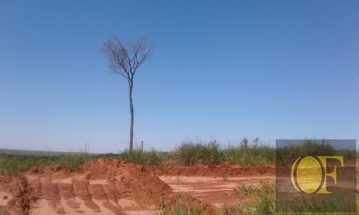 Imagem Fazenda à Venda, 793 m² em Rural - Ivinhema Imagem Fazenda à Venda, 793 m² em Rural - Ivinhema