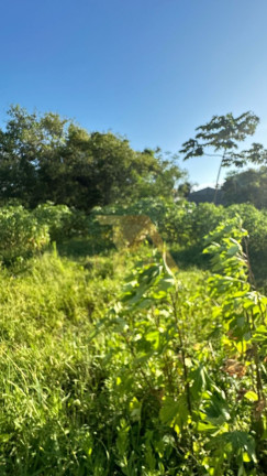 Imagem Terreno à Venda, em Ressacada - Garopaba Imagem Terreno à Venda, em Ressacada - Garopaba