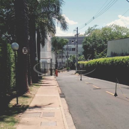 Imagem Imóvel com 2 Quartos à Venda, 47 m² em Vila Abranches - Ribeirão Preto Imagem Imóvel com 2 Quartos à Venda, 47 m² em Vila Abranches - Ribeirão Preto