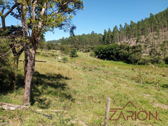 Terreno à Venda, 48.400 m² em Bairro Monte Alegre - Natividade Da Serra
