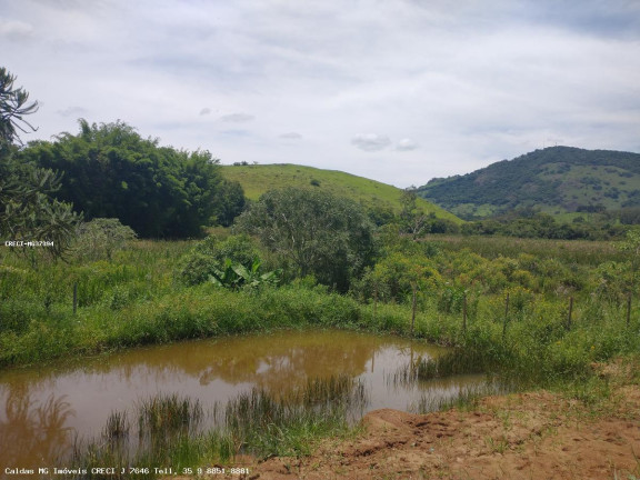 Imagem Chácara com 1 Quarto à Venda, 2.400 m² em Rio Verde - Caldas