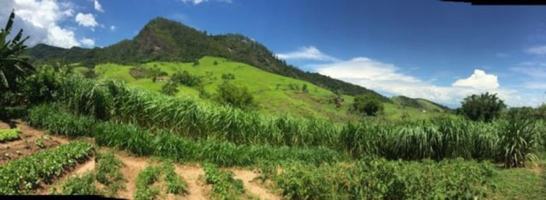 Imagem Fazenda à Venda, 100 m² em Centro - Cruzeiro Imagem Fazenda à Venda, 100 m² em Centro - Cruzeiro