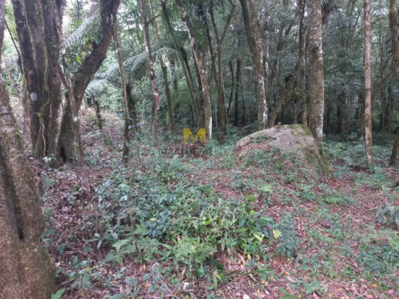 Imagem Chácara à Venda, em Recreio Da Serra - Piraquara Imagem Chácara à Venda, em Recreio Da Serra - Piraquara
