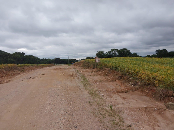Imagem Imóvel à Venda, 24.200 m² em Centro - Araucária Imagem Imóvel à Venda, 24.200 m² em Centro - Araucária