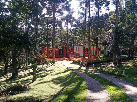 Chácara com 2 Quartos à Venda, 18.000 m² em Rio Vermelho - São Bento Do Sul