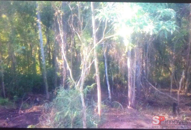 Imagem Terreno à Venda, 10.000 m² em Parque Arariba - São Paulo