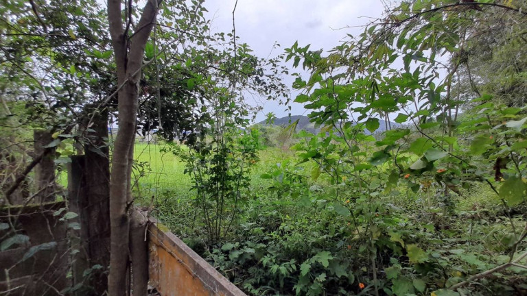 Imagem Ponto Comercial à Venda, em Volta Grande - Navegantes Imagem Ponto Comercial à Venda, em Volta Grande - Navegantes