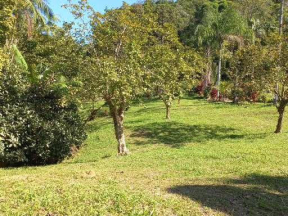Imagem Imóvel com 4 Quartos à Venda, 68.000 m² em Centro - Morretes 