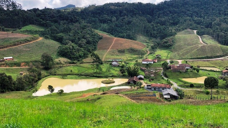 Imagem Imóvel com 3 Quartos à Venda, 30.000 m² em Zona Rural - Presidente Nereu