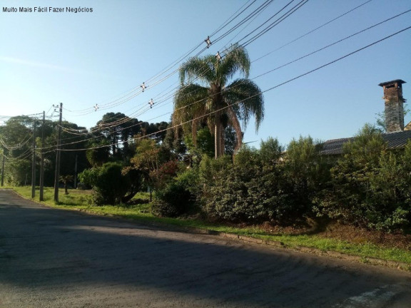 Terreno à Venda, 1.452 m² em Logradouro - Nova Petrópolis