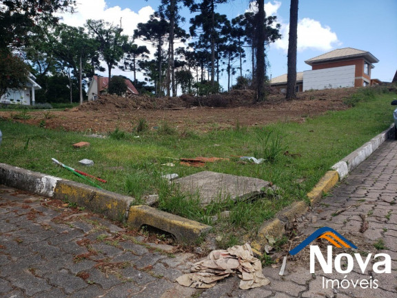 Imagem Imóvel à Venda, 1.334 m² em Piá - Nova Petrópolis Imagem Imóvel à Venda, 1.334 m² em Piá - Nova Petrópolis