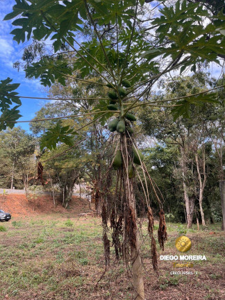 Imagem Terreno à Venda, 6.400 m² em Batatuba - Piracaia