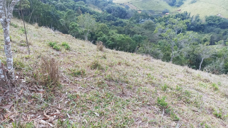 Imagem Chácara com 3 Quartos à Venda, 300 m² em Vila Amelia - Paraibuna Imagem Chácara com 3 Quartos à Venda, 300 m² em Vila Amelia - Paraibuna