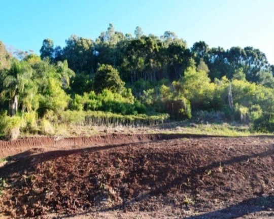 Imagem Terreno à Venda, 6 m² em Linha Imperial - Nova Petrópolis Imagem Terreno à Venda, 6 m² em Linha Imperial - Nova Petrópolis