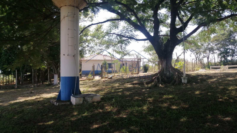 Imagem Fazenda à Venda, 22 m² em Roque - Pirassununga Imagem Fazenda à Venda, 22 m² em Roque - Pirassununga
