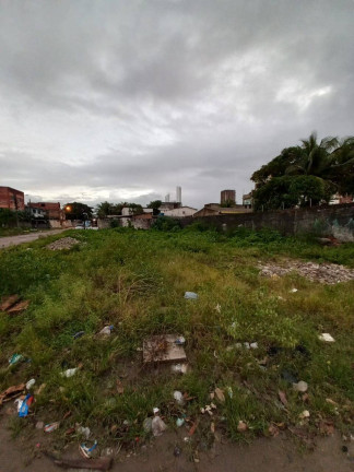 Imagem Terreno à Venda, 470 m² em Barra De Jangada - Jaboatão Dos Guararapes Imagem Terreno à Venda, 470 m² em Barra De Jangada - Jaboatão Dos Guararapes