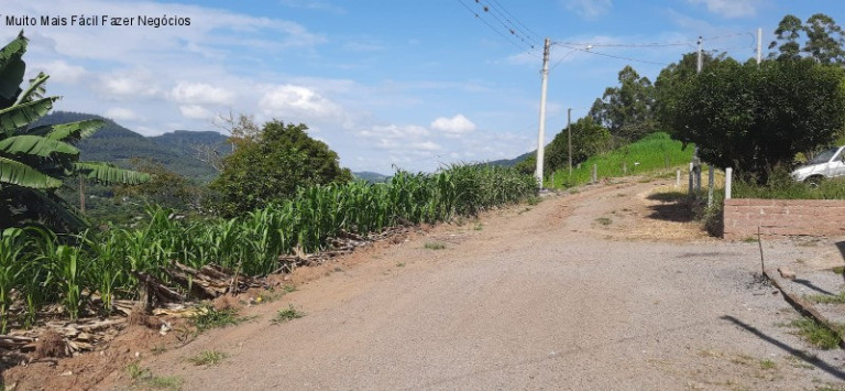 Imagem Terreno à Venda, 1.016 m² em Floresta - Picada Café