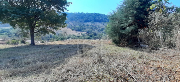 Imagem Imóvel com 1 Quarto à Venda, 2.156 m² em Bairro Marambaia (rural) - Bandeira Do Sul