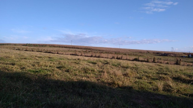 Imagem Fazenda à Venda, 54 m² em Itai - Itaí Imagem Fazenda à Venda, 54 m² em Itai - Itaí