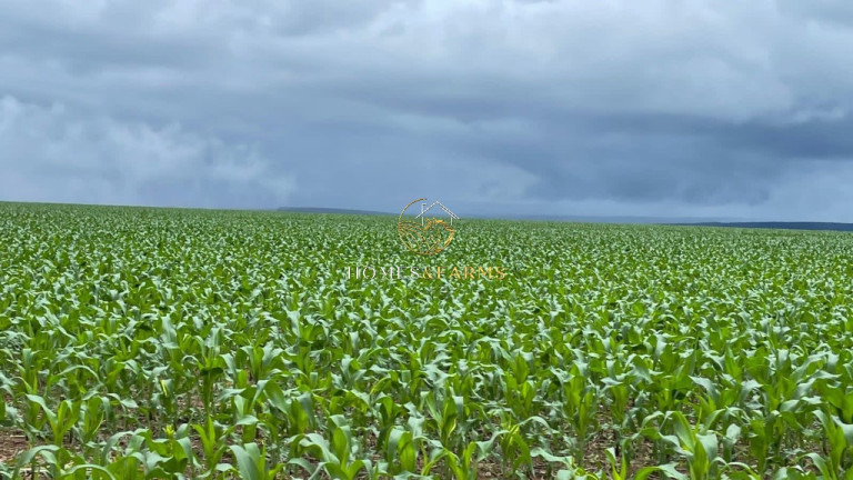 Imagem Imóvel com 3 Quartos à Venda, 7.546 m² em Zona Rural - Nobres Imagem Imóvel com 3 Quartos à Venda, 7.546 m² em Zona Rural - Nobres