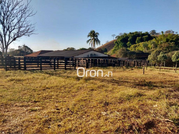 Imagem Fazenda à Venda, 500 m² em Zona Rural - Goianápolis Imagem Fazenda à Venda, 500 m² em Zona Rural - Goianápolis
